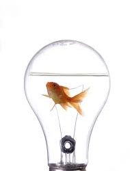 You want more innovation – then start talking about it!