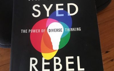 A review of Rebel Ideas